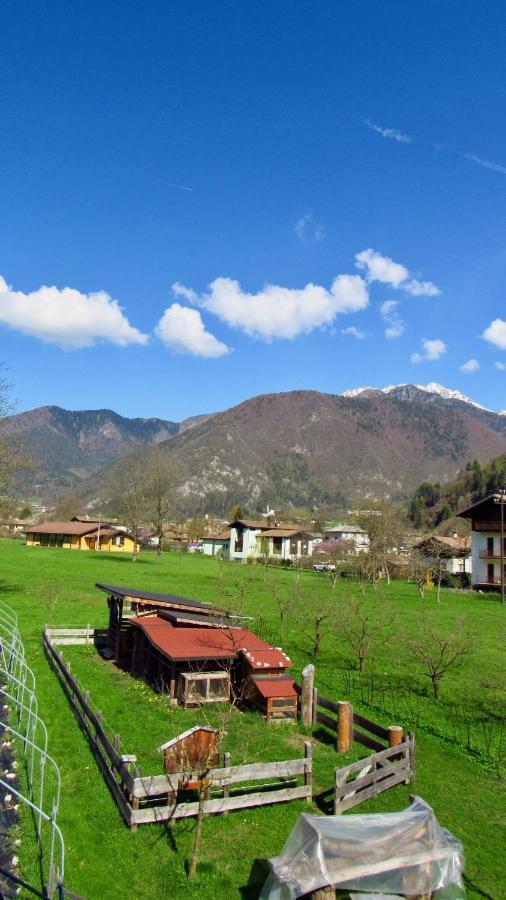 B&B Dalla Fattoria Della Patty 피에베디레드로 외부 사진